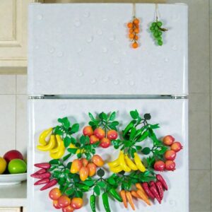 Artifical fruit magnet