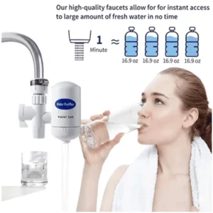 SWS Mini Water Purifier